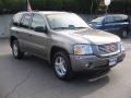 Steel Gray Metallic - Envoy SLE 4x4 Photo No. 8