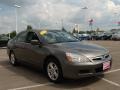2006 Carbon Bronze Pearl Honda Accord EX-L Sedan  photo #12