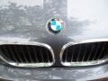 Steel Grey Metallic - X5 3.0i Photo No. 24