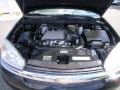 2004 Black Chevrolet Malibu LT V6 Sedan  photo #10