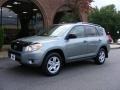 Everglade Metallic - RAV4 4WD Photo No. 1