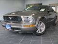 2005 Mineral Grey Metallic Ford Mustang V6 Premium Coupe  photo #10