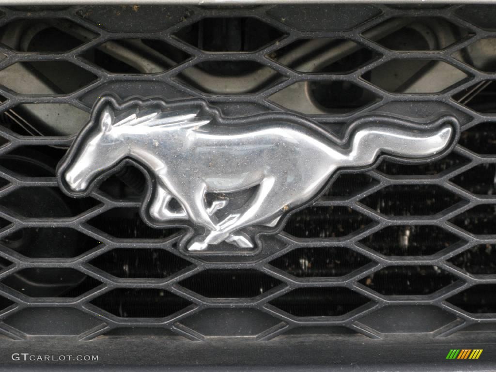 2005 Mustang V6 Premium Coupe - Mineral Grey Metallic / Dark Charcoal photo #16