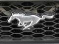 Mineral Grey Metallic - Mustang V6 Premium Coupe Photo No. 16