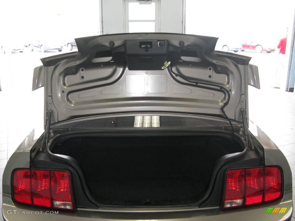 2005 Mustang V6 Premium Coupe - Mineral Grey Metallic / Dark Charcoal photo #27