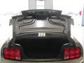 2005 Mineral Grey Metallic Ford Mustang V6 Premium Coupe  photo #27