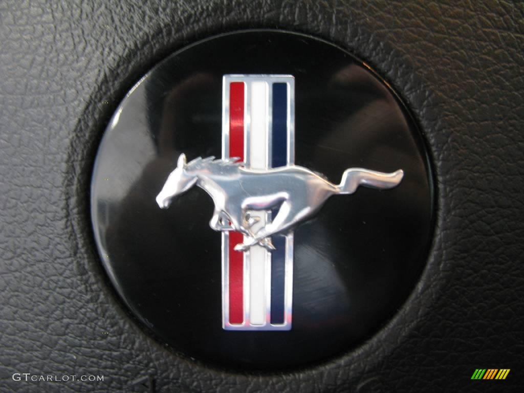 2005 Mustang V6 Premium Coupe - Mineral Grey Metallic / Dark Charcoal photo #44