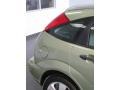 Kiwi Green Metallic - Focus ZX5 SES Hatchback Photo No. 24