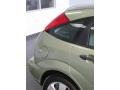 2007 Kiwi Green Metallic Ford Focus ZX5 SES Hatchback  photo #24