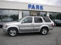 Brilliant Silver - QX4 4x4 Photo No. 25