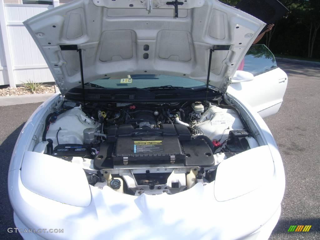 2000 Firebird Trans Am Coupe - Arctic White / Taupe photo #10