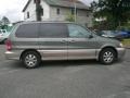 2004 Sage Green Kia Sedona EX  photo #8