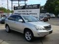 Millennium Silver Metallic - RX 350 AWD Photo No. 1