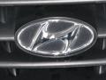 Black Obsidian - Elantra GLS Sedan Photo No. 14
