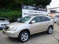 2008 Savannah Metallic Lexus RX 350 AWD  photo #1