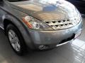 2006 Platinum Pearl Metallic Nissan Murano SL  photo #12