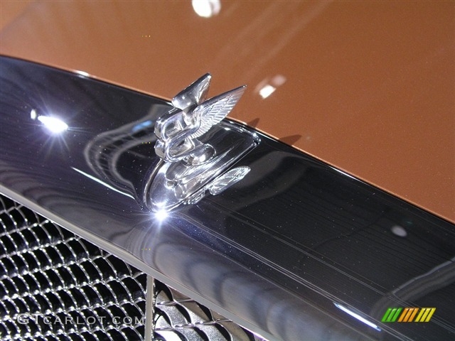 2006 Arnage R 450 Diamond Series - Nutmeg / Ochre/Saddle photo #18