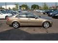 2009 Sand Beige Metallic Mercedes-Benz C 300 Luxury  photo #15