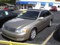 Desert Sand Metallic - Avalon XLS Photo No. 1