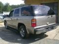 Light Pewter Metallic - Tahoe LS 4x4 Photo No. 5