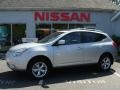 2009 Silver Ice Nissan Rogue SL AWD  photo #1