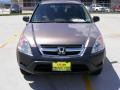 Mojave Mist Metallic - CR-V LX Photo No. 8