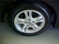 2006 Nighthawk Black Pearl Honda Accord EX-L Coupe  photo #6