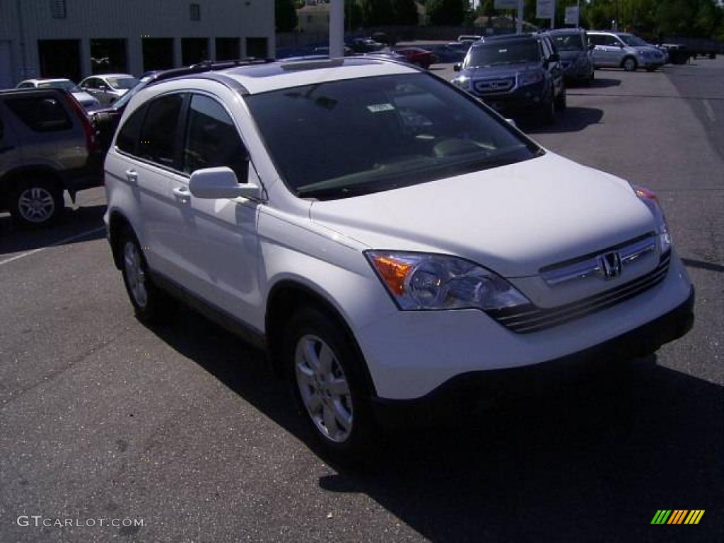 2009 CR-V EX-L - Taffeta White / Gray photo #6