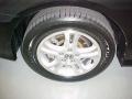 2006 Nighthawk Black Pearl Honda Accord EX-L Coupe  photo #16