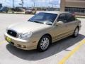 2004 Desert Sand Hyundai Sonata V6  photo #7