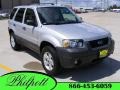 2006 Silver Metallic Ford Escape XLT  photo #1