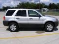 2006 Silver Metallic Ford Escape XLT  photo #2