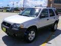 2006 Silver Metallic Ford Escape XLT  photo #7