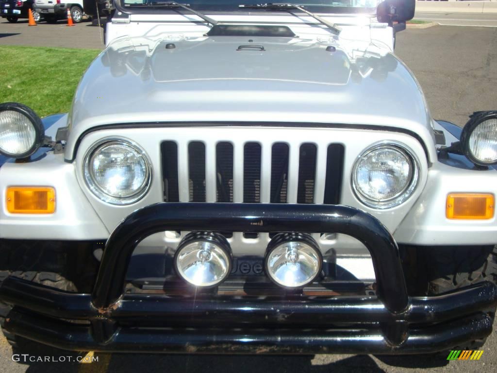 2004 Wrangler Rubicon 4x4 - Bright Silver Metallic / Dark Slate Gray photo #16