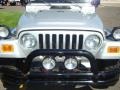 2004 Bright Silver Metallic Jeep Wrangler Rubicon 4x4  photo #16