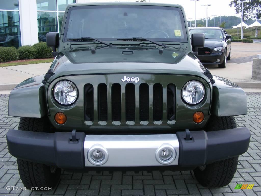 2008 Wrangler Unlimited Sahara 4x4 - Jeep Green Metallic / Dark Slate Gray/Med Slate Gray photo #8