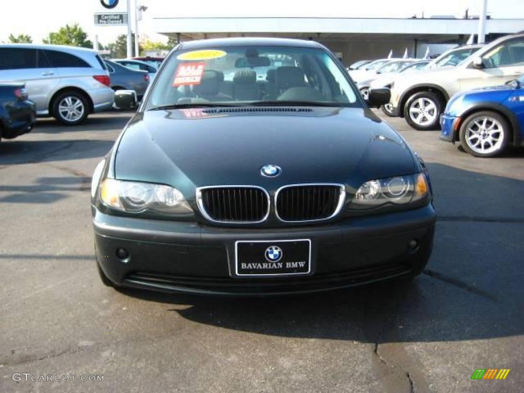 2003 3 Series 325i Sedan - Oxford Green Metallic / Grey photo #2