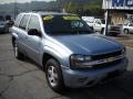 Silver Blue Metallic - TrailBlazer LS 4x4 Photo No. 20