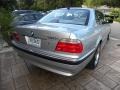 Classic Silver Metallic - ES 330 Photo No. 13