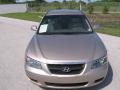 2007 Golden Beige Hyundai Sonata GLS  photo #18