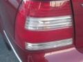 Spice Red Metallic - Jetta GL TDI Sedan Photo No. 24