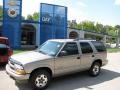 Light Pewter Metallic - Blazer LS 4x4 Photo No. 1