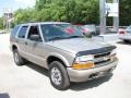Light Pewter Metallic - Blazer LS 4x4 Photo No. 6