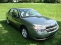 2005 Silver Green Metallic Chevrolet Malibu LS V6 Sedan  photo #4