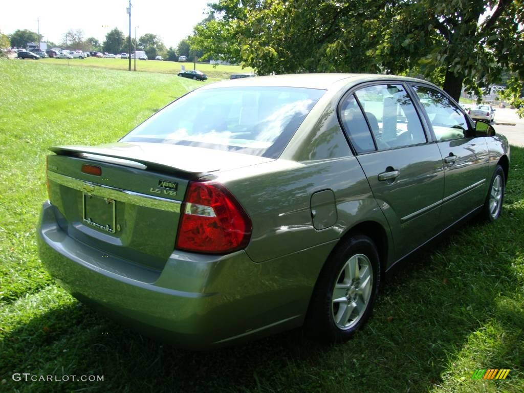 2005 Malibu LS V6 Sedan - Silver Green Metallic / Neutral Beige photo #7