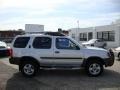 2001 Silver Ice Metallic Nissan Xterra SE V6 4x4  photo #6