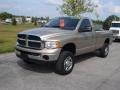 Light Almond Pearl Metallic - Ram 2500 SLT Regular Cab 4x4 Photo No. 6
