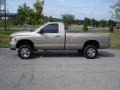 Light Almond Pearl Metallic - Ram 2500 SLT Regular Cab 4x4 Photo No. 7