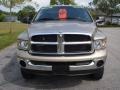 Light Almond Pearl Metallic - Ram 2500 SLT Regular Cab 4x4 Photo No. 9