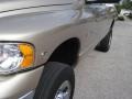 Light Almond Pearl Metallic - Ram 2500 SLT Regular Cab 4x4 Photo No. 25